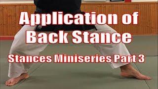 Application of Kokutsu Dachi (Backstance) - Stances Miniseries Part 3