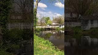 #Shorts beautiful canal in the spring #canal #spring #nature #newjersey #flowers