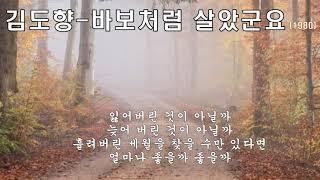 김도향  -  바보처럼 살았군요 (1980) 가사.