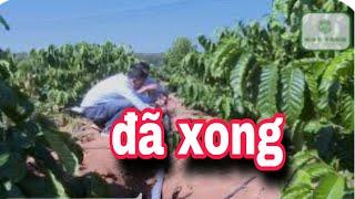 hệ thống ỐNG TƯỚI NƯỚC Đã Xong..Chuẩn Bị VẬN HÀNH...