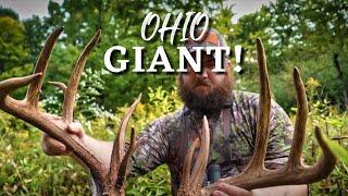 MEGA GIANT Killed Opening Day! | Ohio Bow Hunting