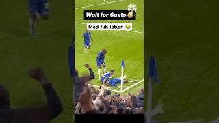 Jackson,Enzo Fernandez,Madueke & Gusto INSANE CELEBRATION Fans Reaction To Jackson Goal,Fans Chant