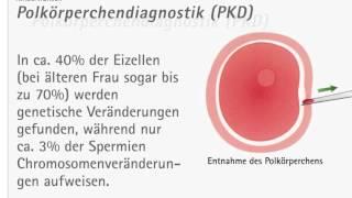 MVZ Kinderwunsch | Polkörperdiagnostik (PKD)