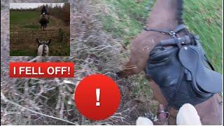 Never Underestimate a Ledbury Hedge! Second Horses out Trail Riding | Equestrian