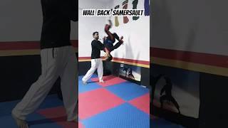 Wall Back Samersault #gymnast #martialarts #karate #bredanfou #taekwondo #mma #kickpunch #shorts