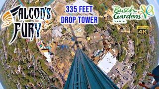 Falcon's Fury 335 ft Drop Tower On Ride 4K POV Busch Gardens Tampa 2024 03 11