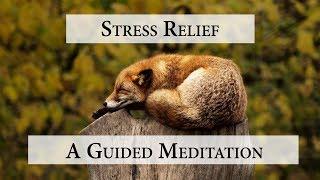 Stress Relief Meditation: A guided meditation for relaxation and releasing stress