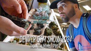 Buying for My Private Collection! | Denver Gem Show 2024 (Part 2) | From The Mines