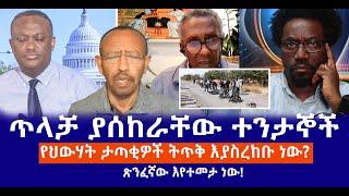 ጥላቻ ያሰከራቸው ተንታኞች  || የህውሃት ታጣቂዎች ትጥቅ እያስረከቡ ነው?  || ጽንፈኛው እየተመታ ነው! Live