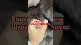 Видео для Елены️#онлайнпокупки #видеоотчет #видеообзор #шуба #трансформер #мех #песец #недорого