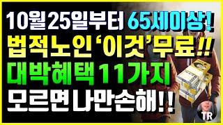 10월 25일부터 65세이상 혜택, 법적노인 '이것' 무료! 새로운 대박혜택 11가지! 모르면 나만손해!!