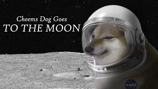 Cheems Dog Goes To The Moon