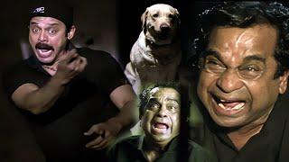 Brahmi & Venky Non Stop Comedy Scenes | Namo Venkatesa Comedy Scenes | iDream