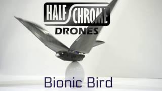 Half Chrome Drones: Bionic Bird a Unique Drone