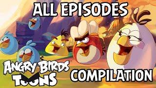 Angry Birds Toons Compilation | Season 3 All Episodes Mashup