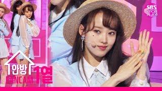 [안방1열 직캠4K] 위키미키 세이 'Picky Picky' (Weki Meki SEI FanCam) │ @SBS Inkigayo_2019.5.19