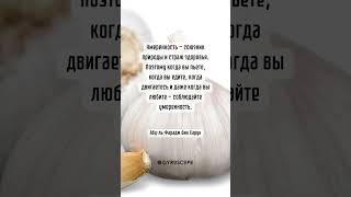 Здоровье – это самое ценное богатство, которое у нас есть. Вот несколько цитат о здоровье