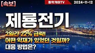 제룡전기-2일간 22% 급락! 어떤 악재가 있었던 것일까? 대응 방법은?