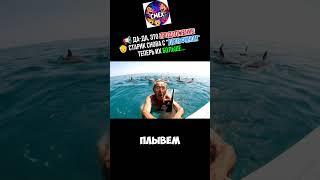 Да-да, это ПРОДОЛЖЕНИЕ! Старик снова с "дельфином" — теперь их больше...