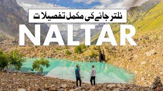 Discover the Real Naltar Valley- Travel Guide by 2Monkeys