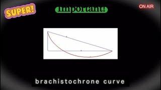 가장 빠른 길, 믿는 것과 아는 것의 차이, 직선의 배신, 브라키스토크론 커브, brachistochrone curve