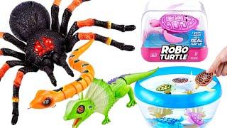 BIG COLLECTION ZURU  ROBO ALIVE | UNBOXING | ASMR | Giant Tarantula, snake,  ROBO TURTLE,ROBO FISH