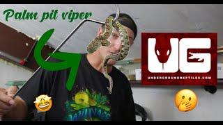 BIGGEST REPTILE FACILITY IN SOUTH FLORIDA!!!