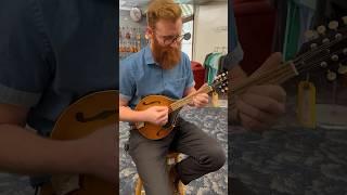 Hey Dan, any suggestions for a budget-friendly mandolin?