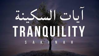 AYAT OF TRANQUILITY - SAKINAH  أيات السكينة لدفع الهموم