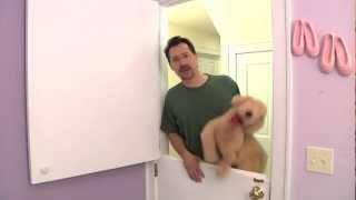 DIY Dutch Door: Overview