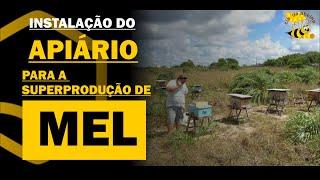 "INSTALAÇÃO DO APIÁRIO" PARA A SUPERPRODUÇÃO DE MEL - Prof Armindo Vieira Jr