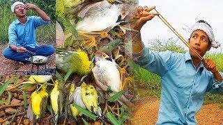 Hunting - Shoot small birds for food - Hunting with Slingshots || Thai S