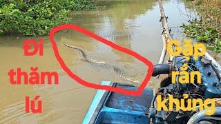 33 | Chuyến câu cá và đi thăm lú gặp rắn khủng | fish