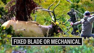 FIXED BLADE OR MECHANICALS | BROADHEAD PERFORMANCE ️ EP. 873