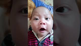 Bahasa bayi 3 bulan #shortvideo #nature #bayilucu #baby #shorts #short #shortvideo #shortsfeed