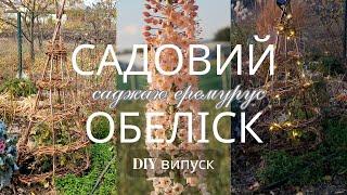 Садова опора за копійки DIY Створення піраміди для саду та городу своїми руками‼ САДЖАЮ ЕРЕМУРУС 