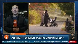 Туған баласына алимент төлемей қашып жүрген азаматтар ақшасын құмар ойынға салып жүр