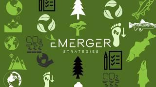 Emerger Strategies: Who We Are