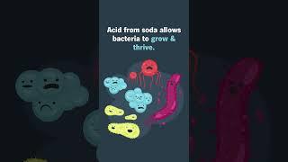  How soda affects your teeth.