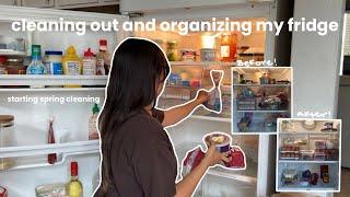 cleaning out and organizing my fridge || start spring cleaning with me