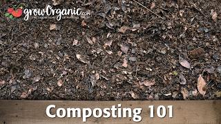 Composting 101 -- Making Compost in Composting Bins and Compost Piles
