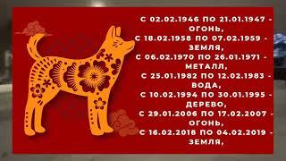 Гороскоп на 2024 год для рожденных в год СОБАКИ, 1958, 1970, 1982, 1994, 2006 годов рождения.