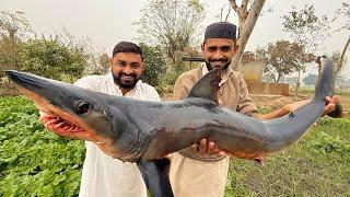 30 Pounds Big Shark | Huge Shark Cutting and Cooking | Finger  Fish Fry |  Bonless Fish Fry