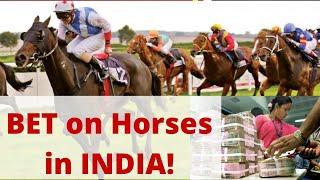 How to WIN at Horse Racing in India! | India's only LEGAL BETTING ! With Surbirinder Singh Sidhu