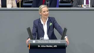 "WIR BRAUCHEN EINE STARKE WIRTSCHAFT!"  Alice Weidel mit Klartext im Bundestag