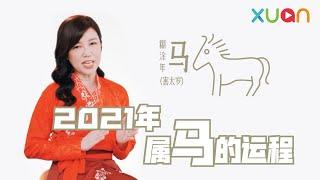 2021年属马的运程 今年容易被误解！｜鲍一凡老师说生肖