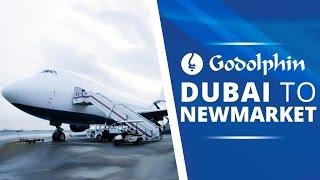 Dubai To Newmarket