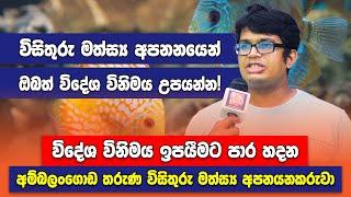 The Young Fish Exporter Who Helps Ornamental Fish farmers - තරුණ විසිතුරු මත්ස්‍ය අපනයනකරු