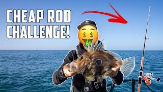 CHEAP FISHING ROD CHALLENGE (Putting a $50 Kids Combo to the test) - S8 EP8 Coromandel