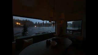 ️ Epic Storm Live: Thrilling Wind & Rain Unleashed in Lacey, WA! Join Us for Real-Time Action!